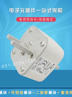 170M6017 170M6018 170M6019 170M6020 170M6021巴斯曼熔断器现货