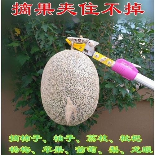 日式摘果剪伸缩高枝剪高空剪 摘果器高枝5米采果剪荔枝龙眼枇杷