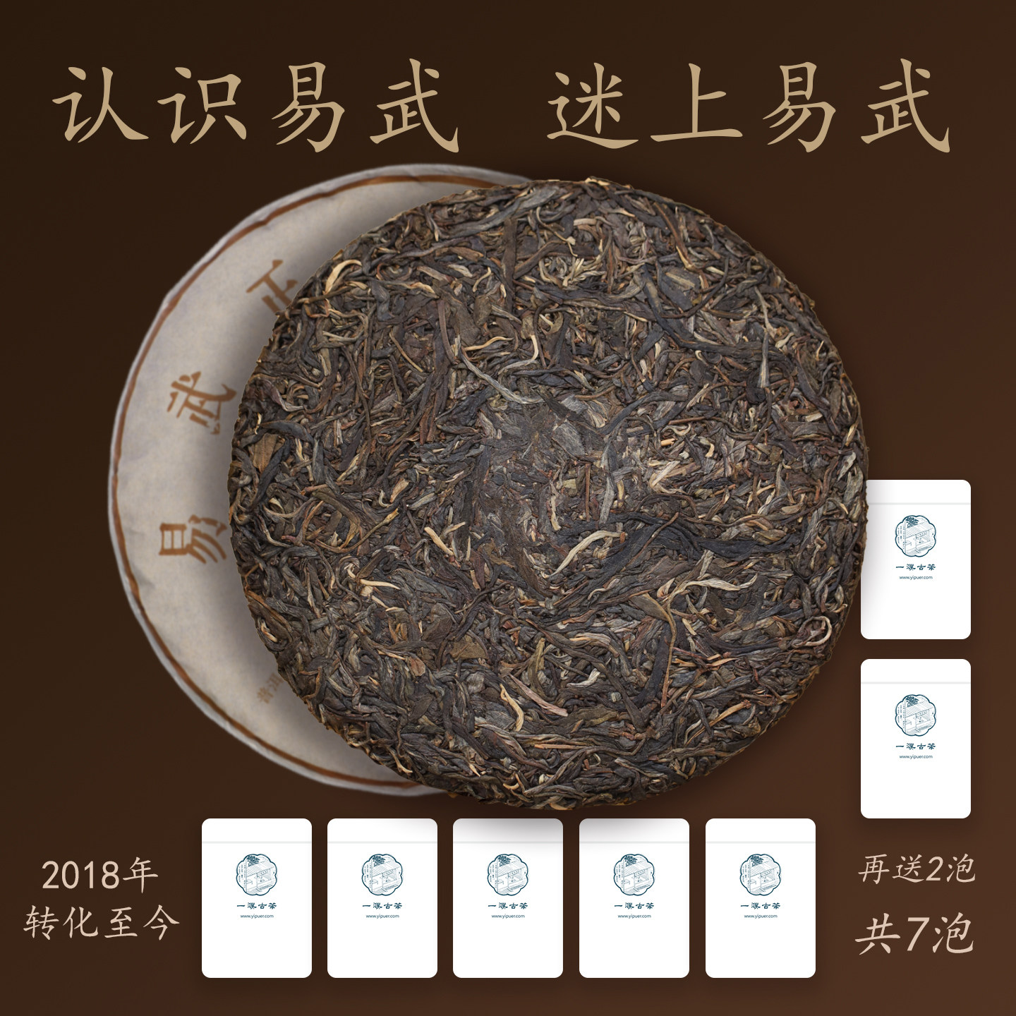 2018年易武古树茶干仓转化