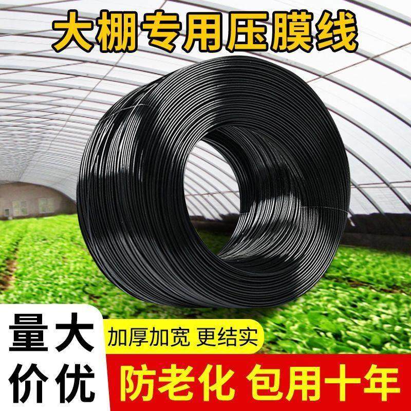温室配件大棚压膜绳膜带黑色托膜带加厚抗老化防寒压膜线专用,农机/农具/农膜,大棚压膜绳/压膜线,淘宝优惠券,粉丝福利购,淘宝优惠卷