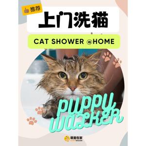 上门洗猫｜广州武汉多城市｜萌宠在家｜宠物上门洗护洗澡深层清洁