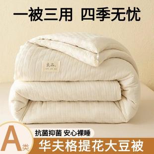 A类母婴级提花子母被子冬被四季 被加厚保暖秋冬加厚被芯大豆纤维