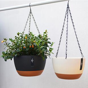 吊挂篮花盆蜘蛛植物专用吊挂植物球兰短牵牛花蕨类卷叶牡丹大吊挂