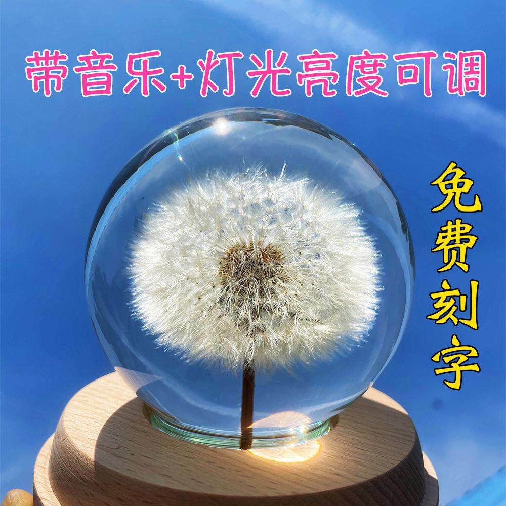 蒲公英的约定水晶球八音盒永生花标本小夜灯生日礼物周杰伦