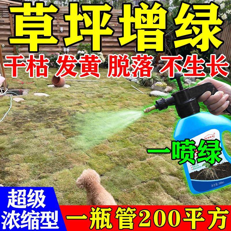 草坪专用肥料增绿剂马尼拉造景苔藓营养液绿化四季常青草皮真草肥,鲜花速递/花卉仿真/绿植园艺,家庭园艺肥料,淘宝优惠券,粉丝福利购,淘宝优惠卷