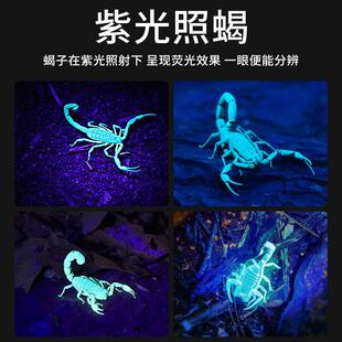 双光源照蝎子专用灯强光头灯头戴式大功率超亮紫光超长续航感应