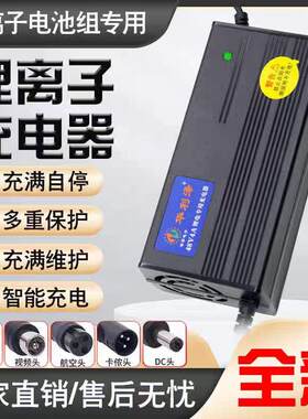 悟俏迪华利泽电动车锂电池充电器48V54.6V4A适用于三元铁锂锂离子