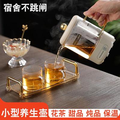 小型煮茶壶养生壶炖煮一体全纯玻璃办公室迷你烧水壶家用多功能杯