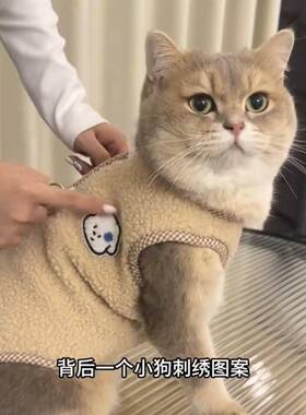 猫猫衣猫服秋冬可牵防毛加绒保暖金引默认ATDB渐层布偶掉蓝猫英短