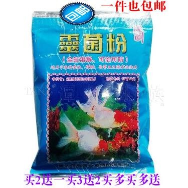 包邮水族药剂净灵菌粉水DF219558金鱼锦鲤水鱼药鱼缸质白点白毛剂