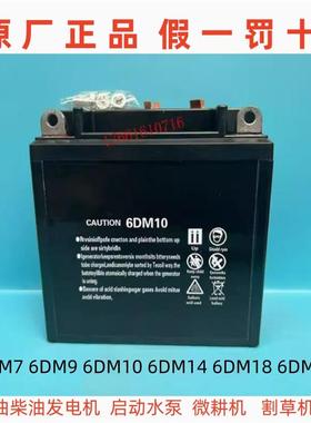 6DM18 6DM7 9 6DM10 6DM21蓄电池12V发电机水泵微耕机割草机电瓶