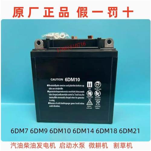 6DM18 6DM7 9 6DM10 6DM21蓄电池12V发电机水泵微耕机割草机电瓶