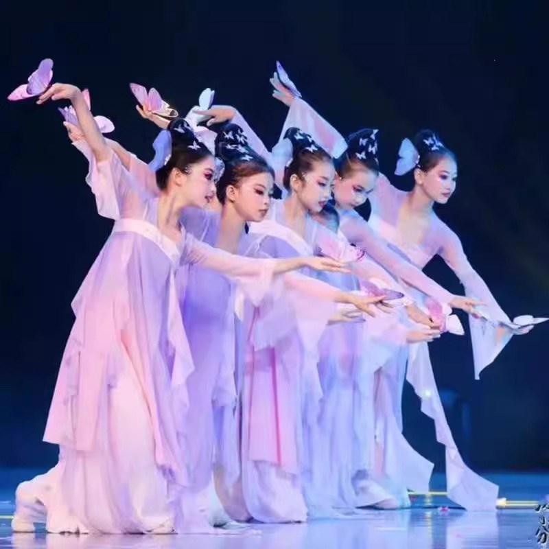 新蝶舞花间舞蹈服儿童p古典舞演出服中国舞练功服飘逸纱衣蝴蝶道