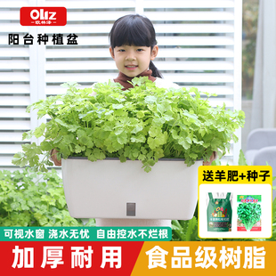 花盆阳台种e菜专用箱长方形花盆家用自吸水塑料果蔬花卉草莓种植