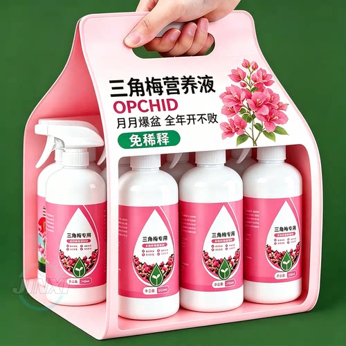 【三角梅开疯了】催花促芽#