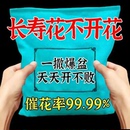 长寿花营养粉促开花催新芽治黄叶增延花期新型肥料 爆花王