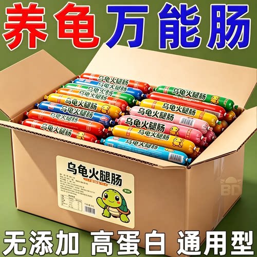 乌龟抢着吃【乌龟肠】增强食欲