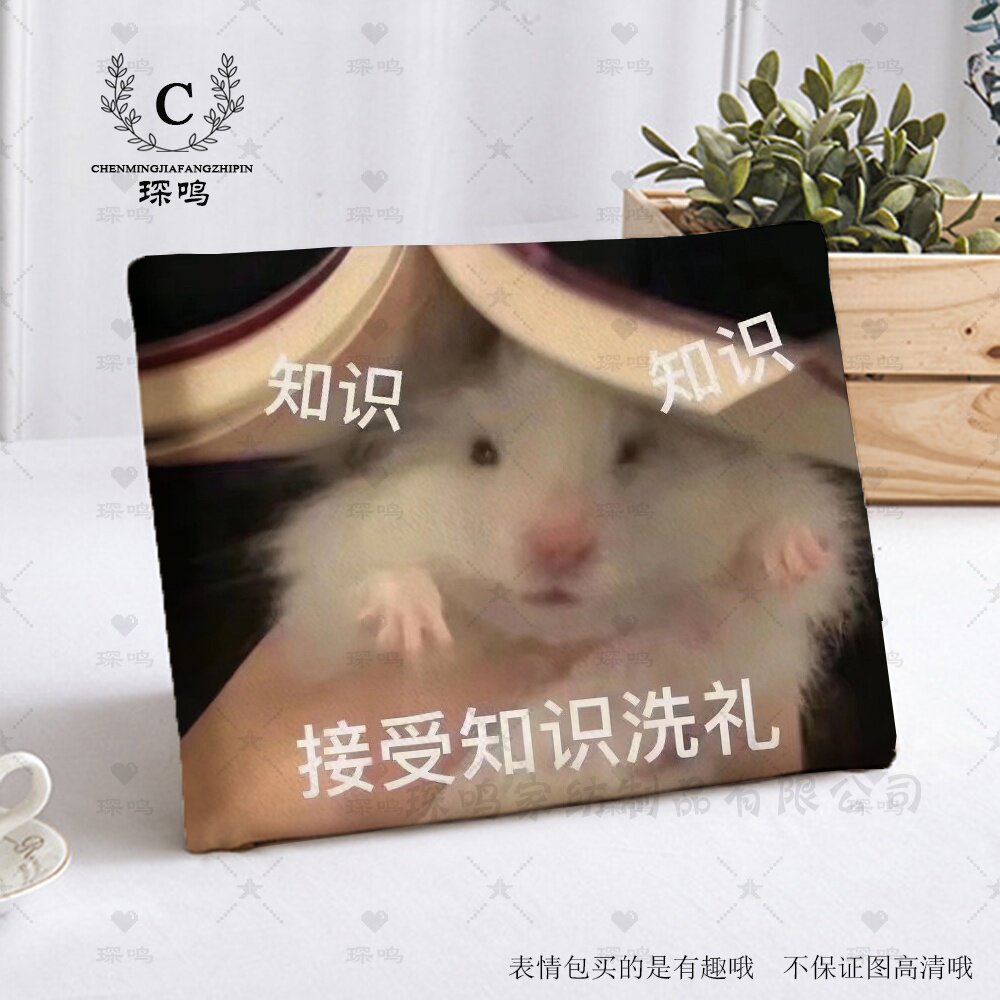 可爱仓鼠学习椅子垫屁股垫子学生