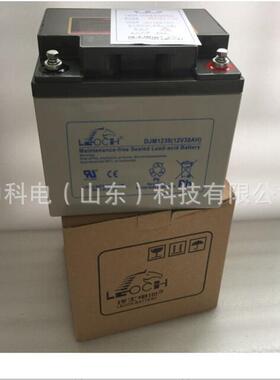 广西理士38AH电池 DJM1238S12V38AH铅酸免维护太阳能储能光伏发电
