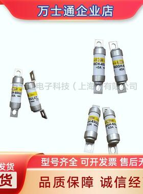 1000GH-63UL1000GH-80UL1000GH-100UL低压熔断器 保险丝 断路器