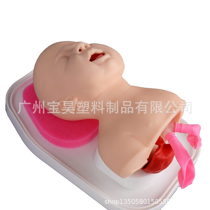 婴儿插管模型 婴儿气管插管模型 新生儿气管插管训练模型