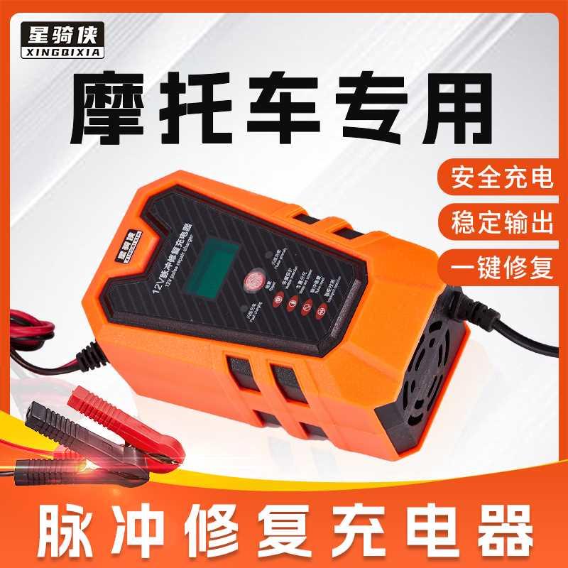 巧格125摩托车电瓶充电器12v福喜旭鹰巡鹰125蓄电池充电机NMAX155