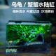 苔藓微景观雨林缸生态鱼缸造景植物盆栽养蟹蛙乌龟爬宠饲养缸绿植