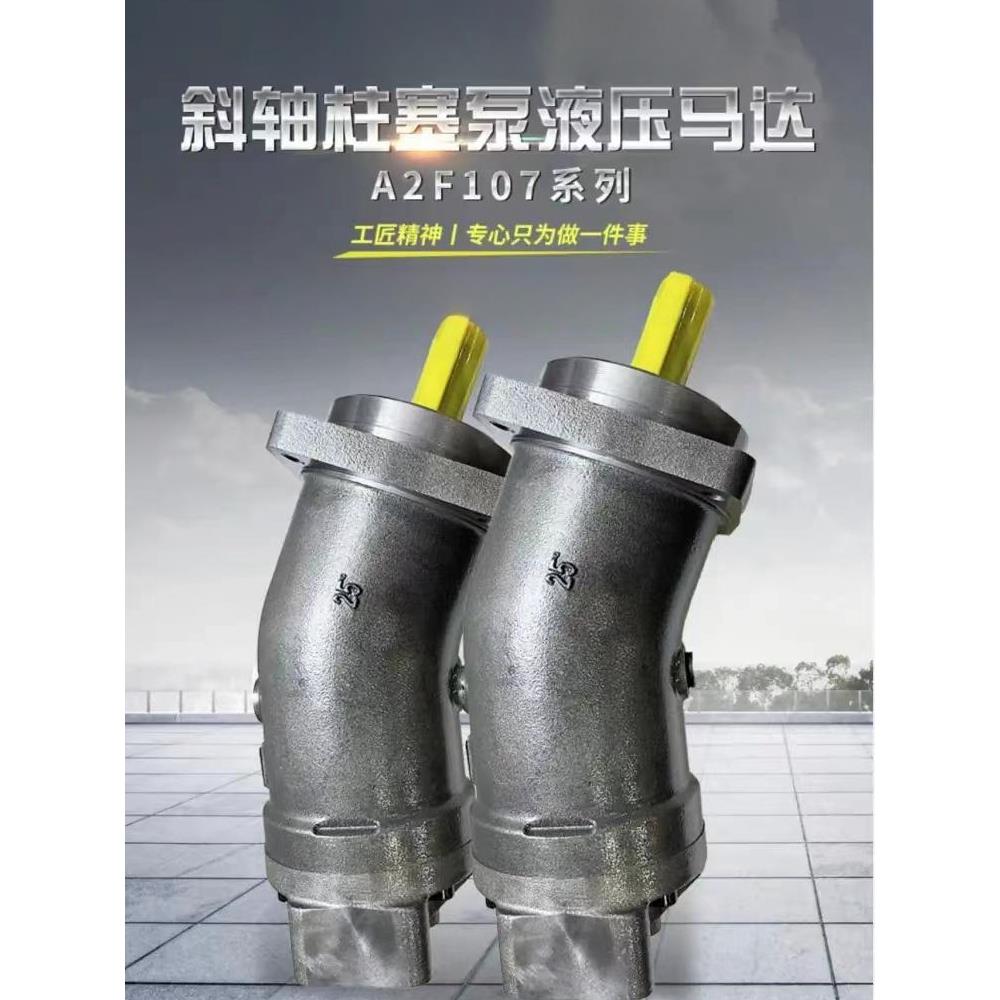 华德型A2F10斜轴柱塞液压马达高速柱塞泵5/10/23/45/55/63割草机