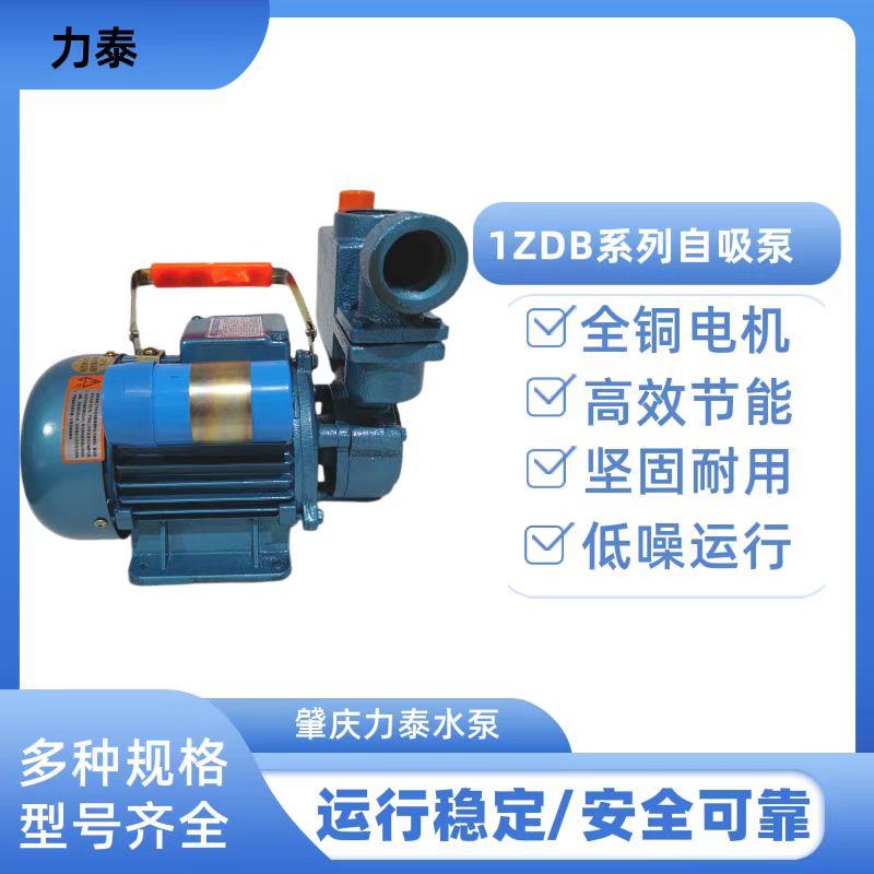肇庆力泰水泵家用抽水机 1ZDB35 1ZDB45 1ZDB65自吸清水泵