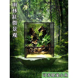 雨林缸全套螃蟹水陆生态室内苔藓微景观森林桌面盆栽植物造景成品