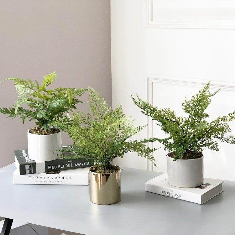 北欧客厅仿真绿植铁线蕨凤尾蕨植物假花仿真花小盆栽套装室内摆件