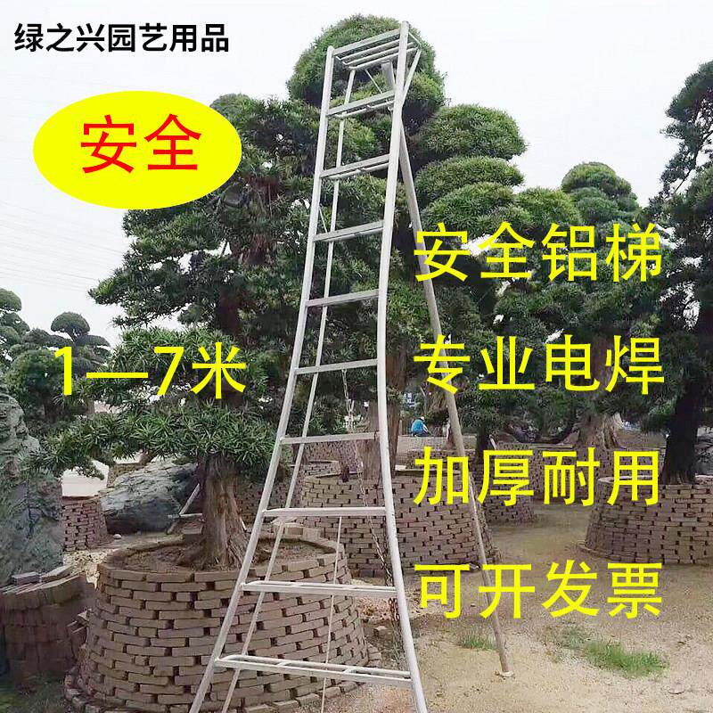 罗汉松造型绿化多功能三脚梯果园安全梯园林三角加粗厚铝合金梯子