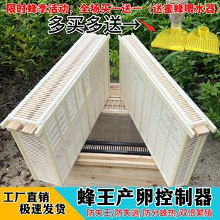 防逃双框隔王板控制器防逃片囚王笼隔王器中蜂土蜂蜂王产卵控制器