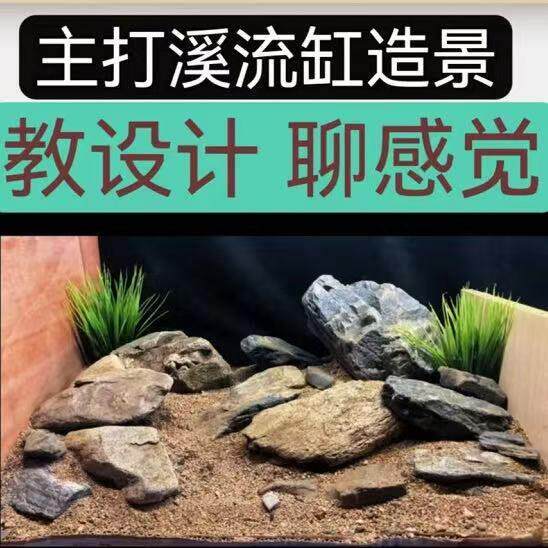 鱼缸造景定制溪流缸造景原生缸造景套餐南美缸三湖缸溪流造景全套
