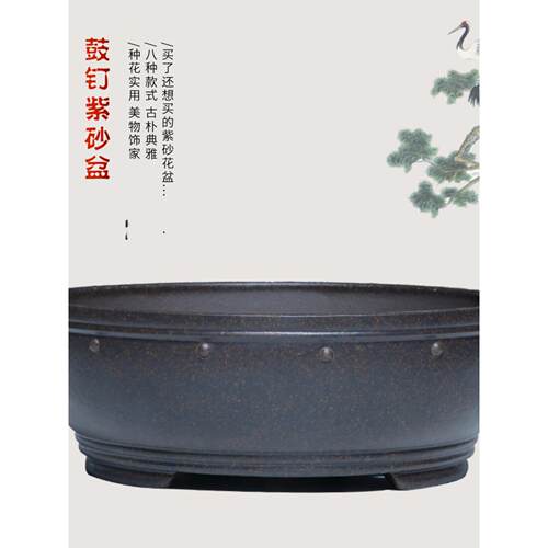 浅口花盆古铜泥鼓钉紫砂花盆金钱草菖蒲盆景盆苔藓植物水培花盆