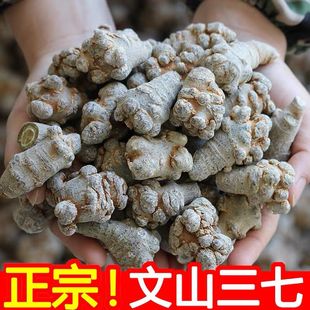 三七头正宗云南文山春三七20头30头40头滑头三七批发可三七粉干货