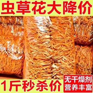 新鲜虫草花干货农家特产冬虫草菌菇虫草煲汤孢子头食用菌商用古田