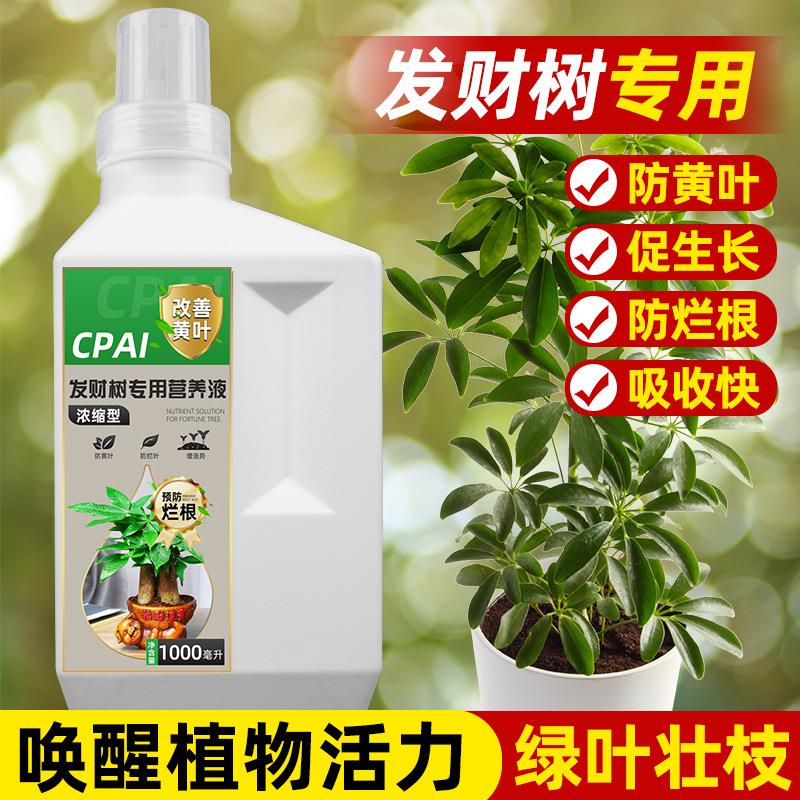 专用浓缩营养竹液发财树家用绿萝龟背盆栽幸福树防黄叶通用有机肥