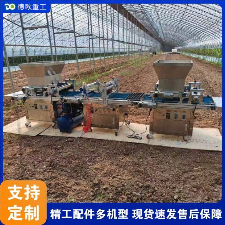 全自动铺土压穴播种机蔬菜花卉种子点播机针吸式穴盘育苗播种机