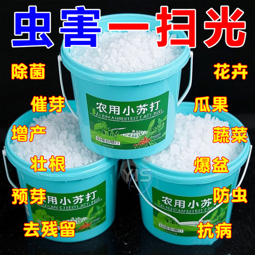 【虫害病害一扫光】农用小苏打