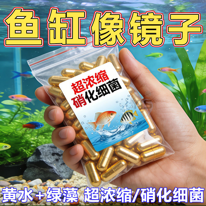 硝化细菌鱼缸专用胶囊净水活菌干粉养鱼水族消化浓缩粪便水质清澈,宠物/宠物食品及用品,鱼缸净水剂,淘宝优惠券,粉丝福利购,淘宝优惠卷