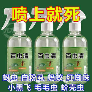 百蟲清蔬菜專用辣椒植物草莓苗瓜果除殺蟲劑菜園陽臺農藥蚜蟲花卉