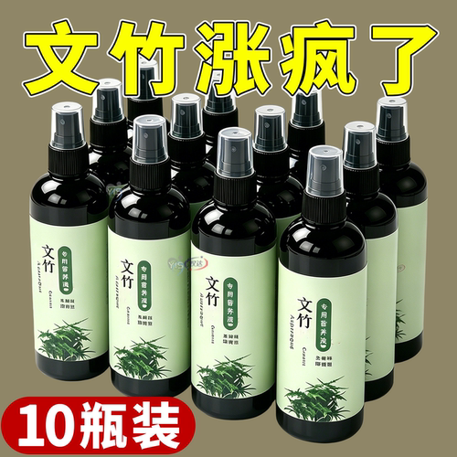 文竹专用营养液养根促枝枝叶青翠