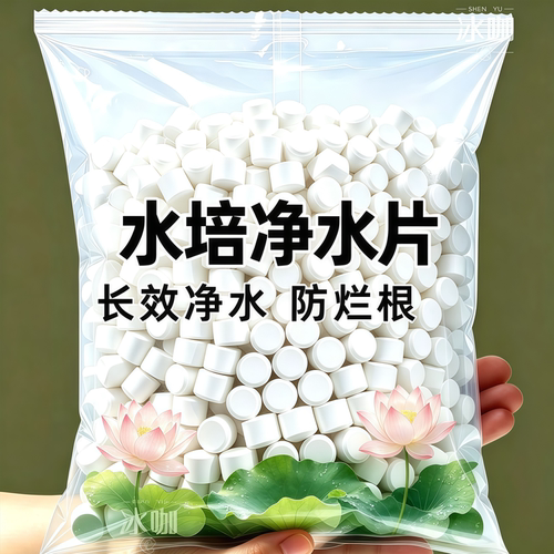 【延长花期】净水壮根预防根腐