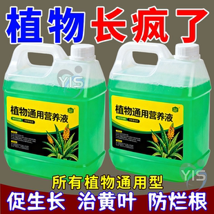 超浓缩植物营养液花肥通用化肥料家用绿植盆栽绿萝叶黄万能富贵竹