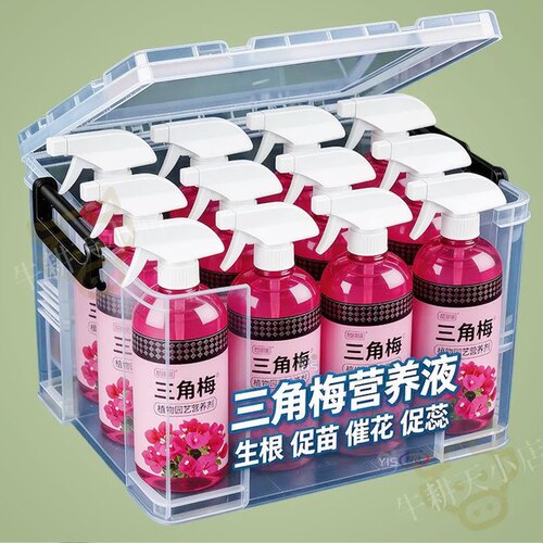 三角梅营养液助力植株孕育花苞