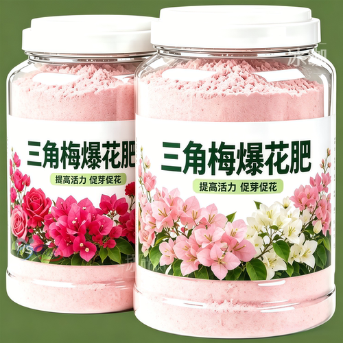 快速开花粉三角梅光杆催花速冒苞