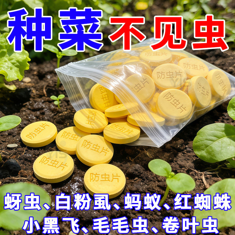 园艺防虫片糖化硼肥片防虫颗粒剂花卉绿植盆栽植物菜地除虫防烂根,鲜花速递/花卉仿真/绿植园艺,家庭园艺肥料,淘宝优惠券,粉丝福利购,淘宝优惠卷