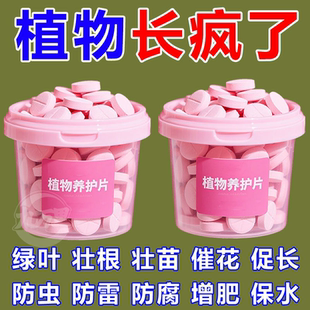 植物养护片缓释型肥料片氮磷钾绿植种花养花家用果蔬盆栽营养片