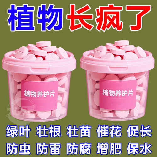 植物养护片促进生长增肥防烂根